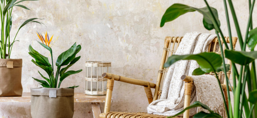 Neutral,Composition,Of,Living,Room,Interior,With,Rattan,Armchair,,Wooden