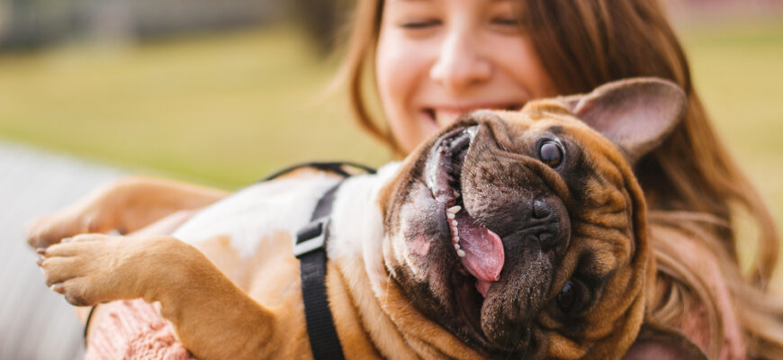 Little,Dog,With,Owner,Spend,A,Day,At,The,Park